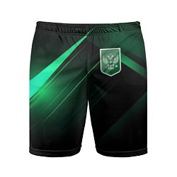 Мужские спортивные шорты Герб РФ зеленый черный фон