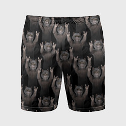 Шорты спортивные мужские Коты любят рок-музыку, цвет: 3D-принт