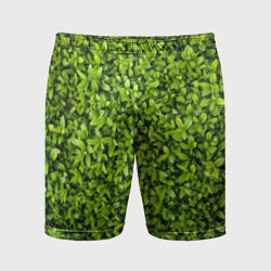 Мужские спортивные шорты Зелёная трава листья