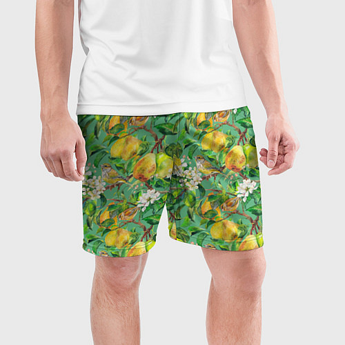 Мужские спортивные шорты Груши и птицы / 3D-принт – фото 3