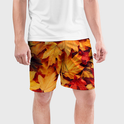 Мужские спортивные шорты Осенние кленовые листья / 3D-принт – фото 3