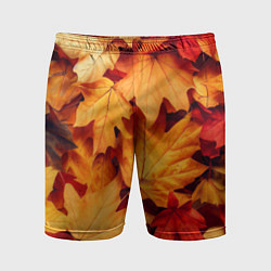 Мужские спортивные шорты Осенние кленовые листья