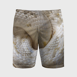 Мужские спортивные шорты Мой удав