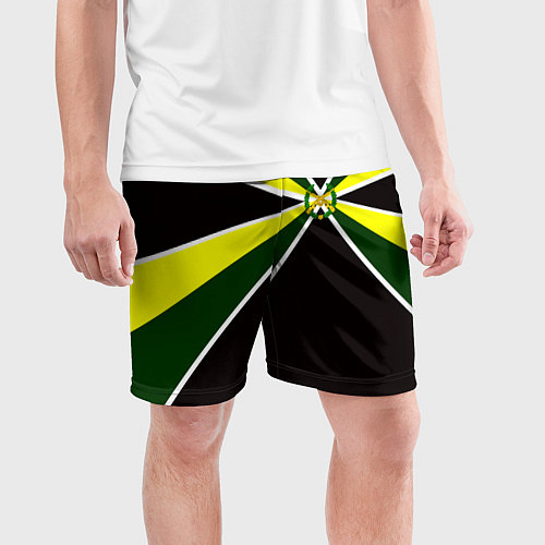 Мужские спортивные шорты Мотострелковые войска: лавры / 3D-принт – фото 3