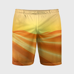 Мужские спортивные шорты Золотые пески