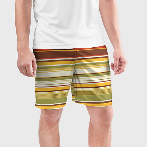 Мужские спортивные шорты Горизонтальные полосы / 3D-принт – фото 3