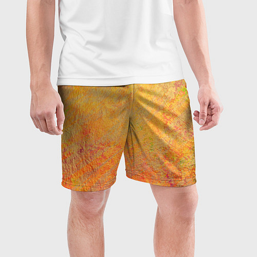 Мужские спортивные шорты Абстракция - desert sun / 3D-принт – фото 3