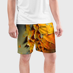 Шорты спортивные мужские Peeling plaster - Milano, цвет: 3D-принт — фото 2