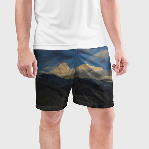 Мужские спортивные шорты Массив Метеген / 3D-принт – фото 3