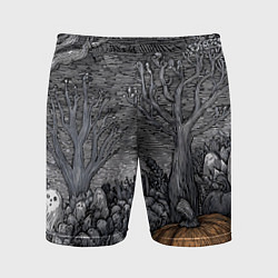 Мужские спортивные шорты Осенние шалости духов