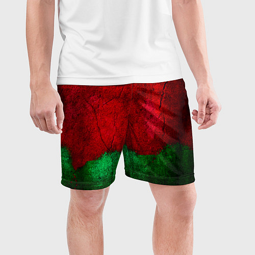 Мужские спортивные шорты Grunge color / 3D-принт – фото 3