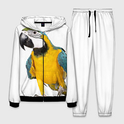 Костюм мужской Попугай ара, цвет: 3D-черный