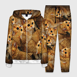 Костюм мужской КОТЯТУШКИ, цвет: 3D-белый