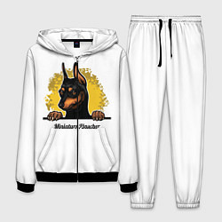 Костюм мужской Мини-Пинчер, цвет: 3D-черный