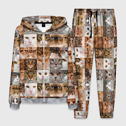 Костюм мужской Pedigreed cats, цвет: 3D-меланж