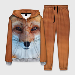 Костюм мужской Взгляд лисы, цвет: 3D-меланж