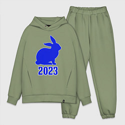 Мужской костюм оверсайз 2023 силуэт кролика синий, цвет: авокадо
