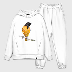 Мужской костюм оверсайз Иволга