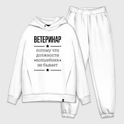 Мужской костюм оверсайз Ветеринар должность волшебник