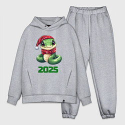 Мужской костюм оверсайз Яркая новогодняя змея, цвет: меланж