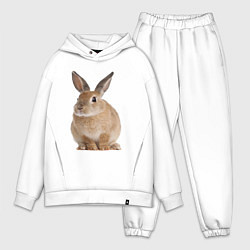 Мужской костюм оверсайз Бежевый кролик, цвет: белый