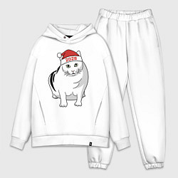 Мужской костюм оверсайз Мемный кот Бендер - 2026, цвет: белый