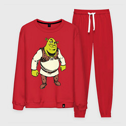 Мужской костюм Shrek 3