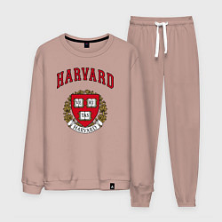 Костюм хлопковый мужской Harvard university, цвет: пыльно-розовый