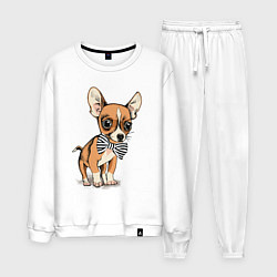 Мужской костюм Чихуахуа с бабочкой