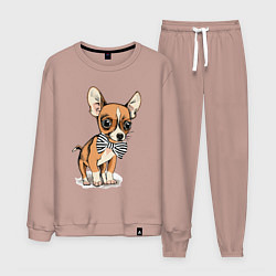 Мужской костюм Чихуахуа с бабочкой