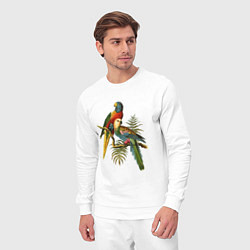 Костюм хлопковый мужской Тропические попугаи, цвет: белый — фото 2