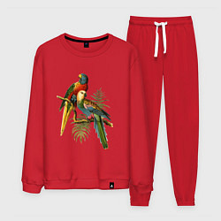 Костюм хлопковый мужской Тропические попугаи, цвет: красный