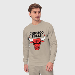 Костюм хлопковый мужской Chicago Bulls, цвет: миндальный — фото 2