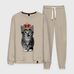 Мужской костюм Meow kitten