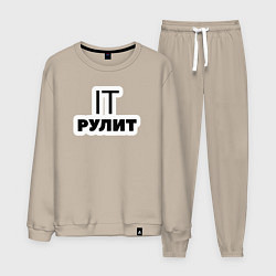 Мужской костюм IT рулит Сисадмин