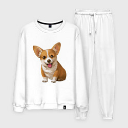 Мужской костюм Корги