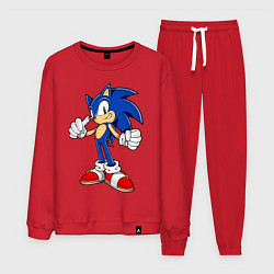Мужской костюм Sonic