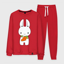 Мужской костюм Зайчик с морковкой