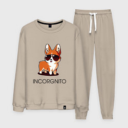 Мужской костюм ИНКОРГНИТО