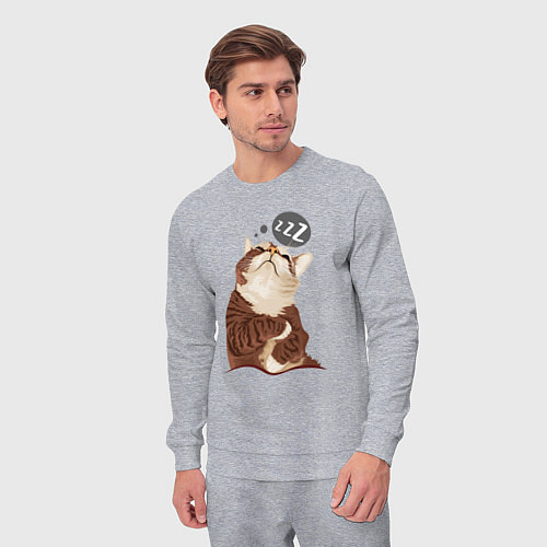 Мужской костюм СПЯЩИЙ КОТ / Меланж – фото 3
