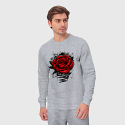 Костюм хлопковый мужской Красная Роза Red Rose, цвет: меланж — фото 2