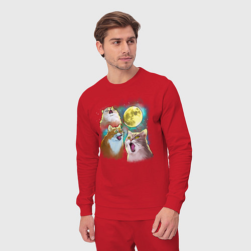 Мужской костюм Котики воют на Луну / Красный – фото 3