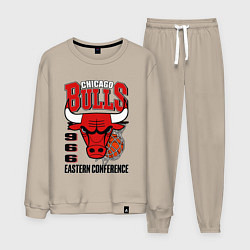 Костюм хлопковый мужской Chicago Bulls NBA, цвет: миндальный