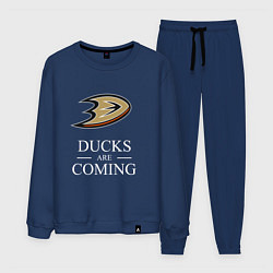 Мужской костюм Ducks Are Coming, Анахайм Дакс, Anaheim Ducks