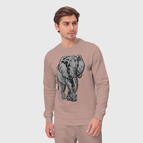 Мужской костюм Огромный могучий слон / Пыльно-розовый – фото 3