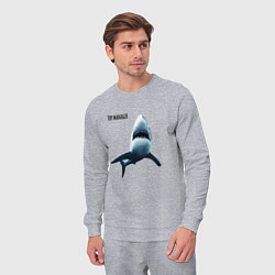 Костюм хлопковый мужской Акула - топ менеджер, цвет: меланж — фото 2