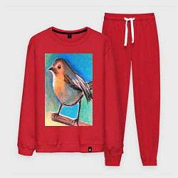 Костюм хлопковый мужской Рисунок пастелью птица синица, цвет: красный