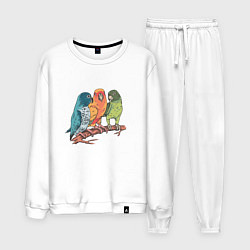 Костюм хлопковый мужской Три волнистых попугая на ветке, цвет: белый