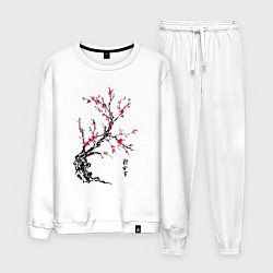 Мужской костюм Сакура с иероглифами