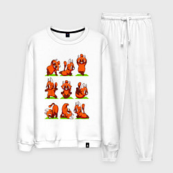 Мужской костюм Йога красной панды